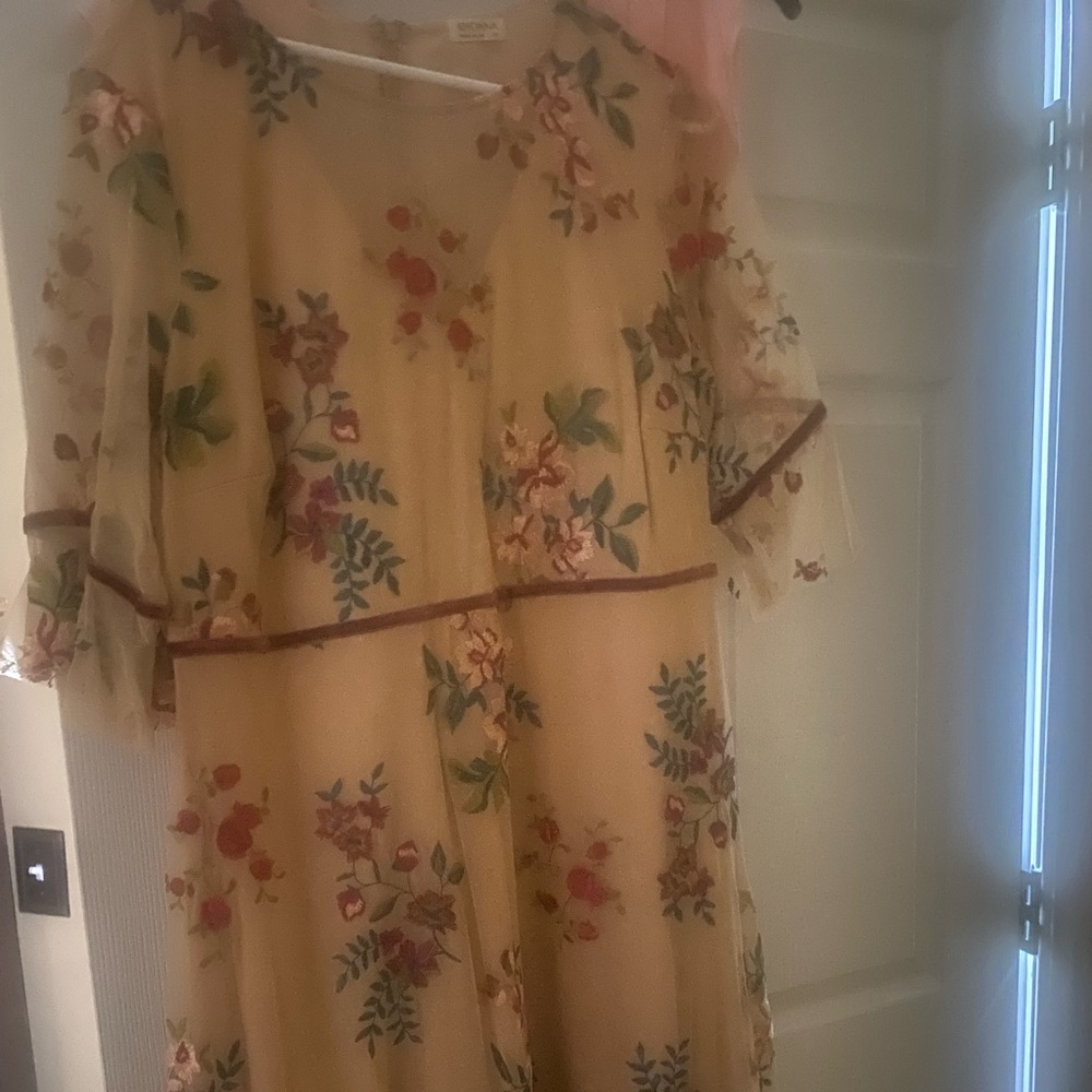 Kiyonna Dress still listed on their site